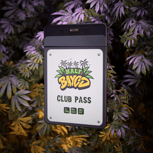 Half BAYCD: Club Pass