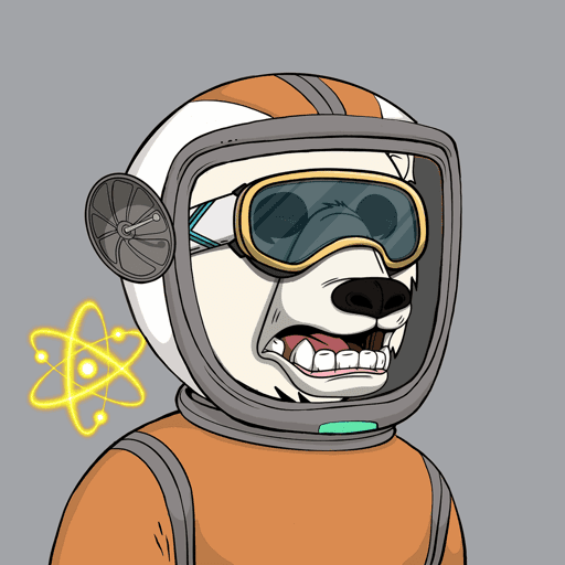 Okay Space Bear #5386