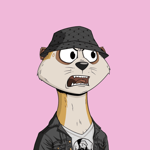 Worried Meerkat #478