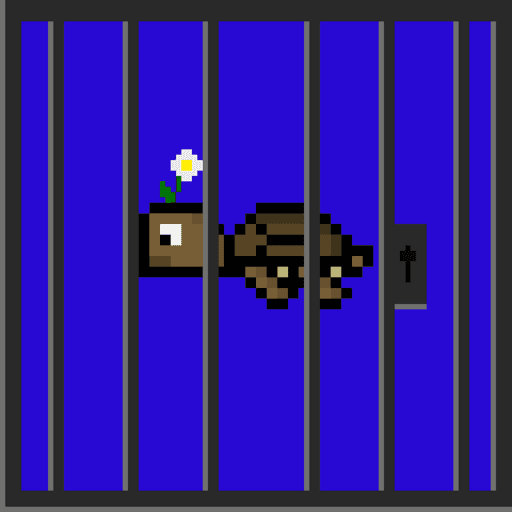 Jail Turtle #138