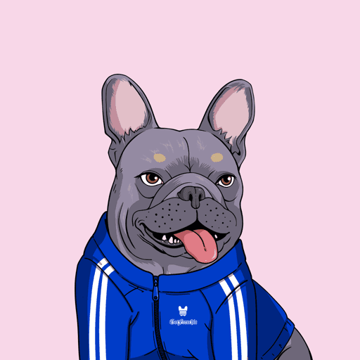 GotFrenchie #6500