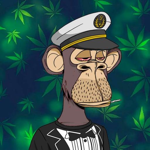 Stoned Ape Yacht Club 043