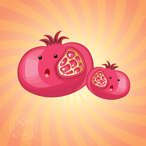 The Pomegranates #001