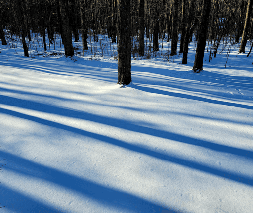 Shadows of the Solstice