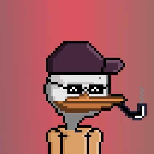 DACK DUCK #22