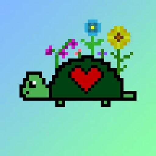 Qwerty Turtles #3735