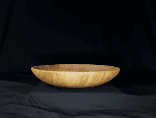 Wooden Bowl #10