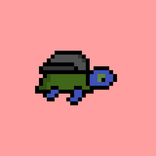 Zeno Turtle #305