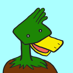 HIKARI_DUCK