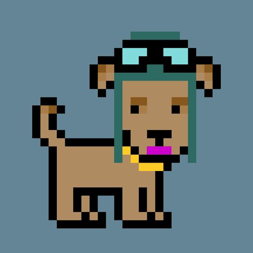 PunkPup #12