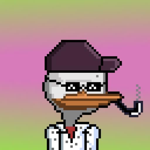 DACK DUCK #1667