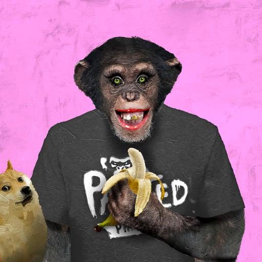 Painted Primates 258