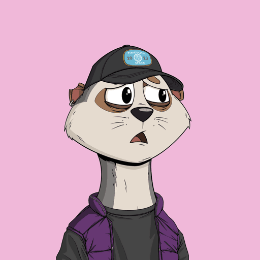 Worried Meerkat #23