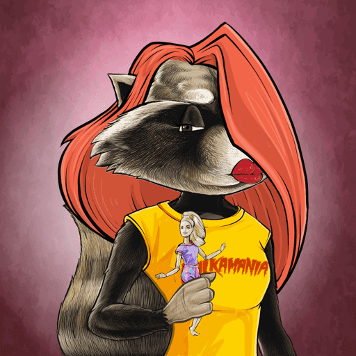 RETRO RACCOONS #306