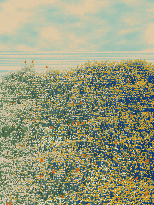 Superbloom #2