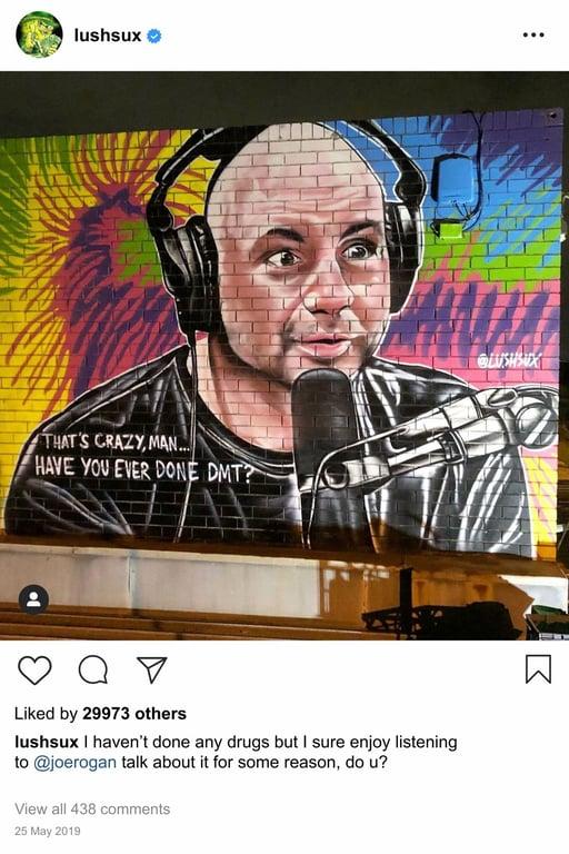 Lushsux #3478 - Mural Joe Rogan