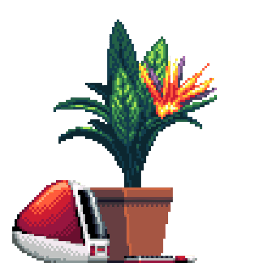 Bird of Paradise in Square pot with iMac