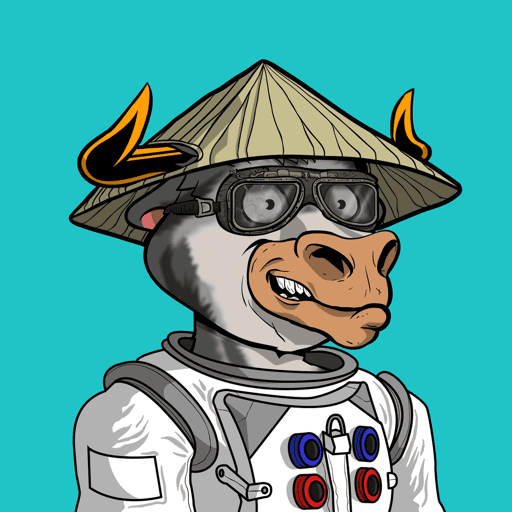 Rocket Raiden