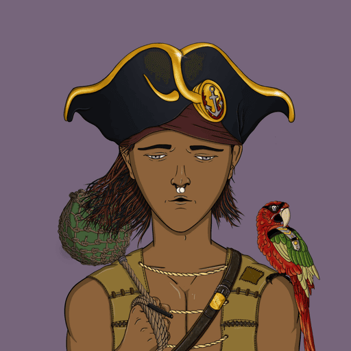 Pirate #1345