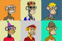 Merged Bored Ape Yatch Club