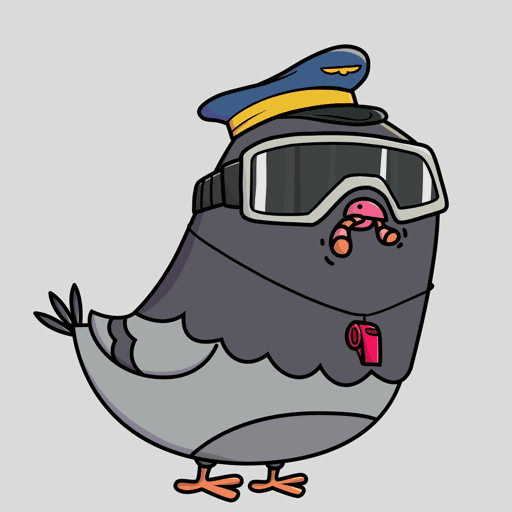 Pigeon #9062