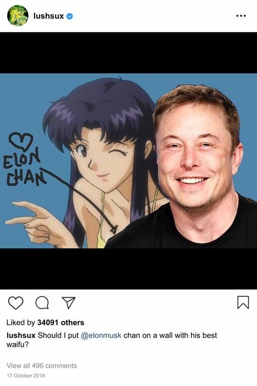 Lushsux #3269 - Shit Post Misato Elon Musk