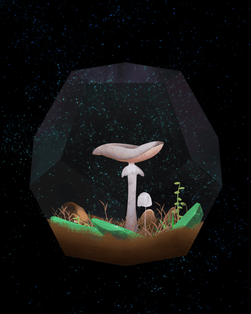 Mushroom #2631