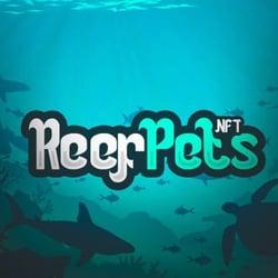 ReefPets Clownfish