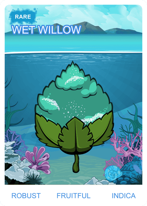 Wet Willow