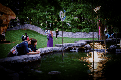 Watching the Pond