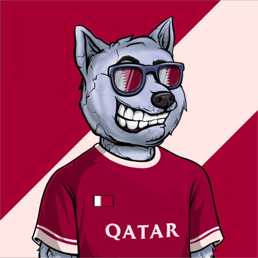 Qatar #47