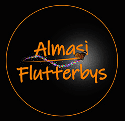 Flutterbys #0305