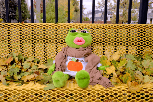 Lady Pepe Enjoys Autumn