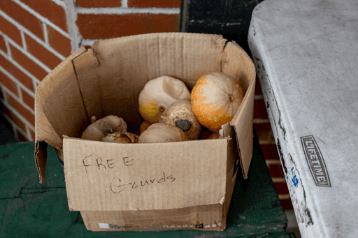 FREE Gourds #49/69