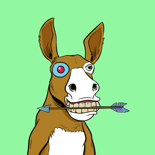 Crazy Donkey #18