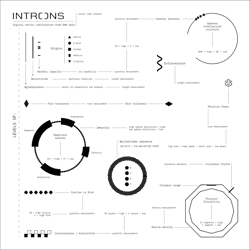 INTRONS OE