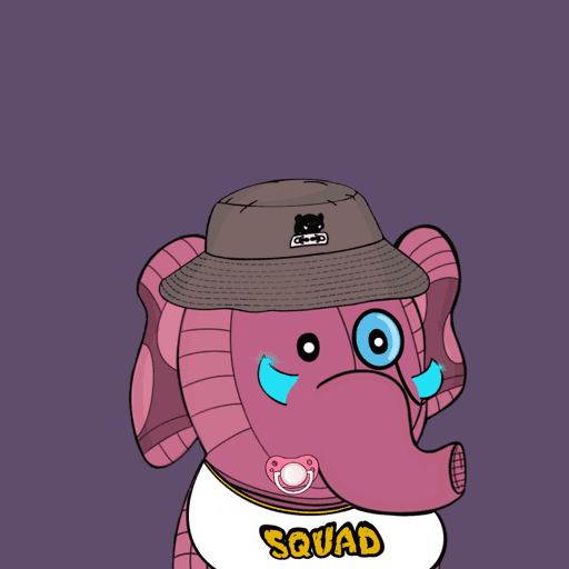 Baby Elephants Squad #18