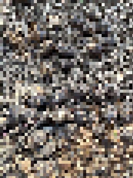 pixelated shit #36