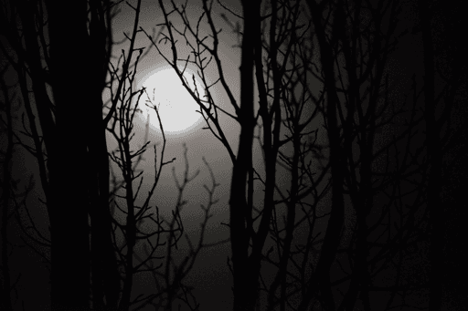 Eerie Moon