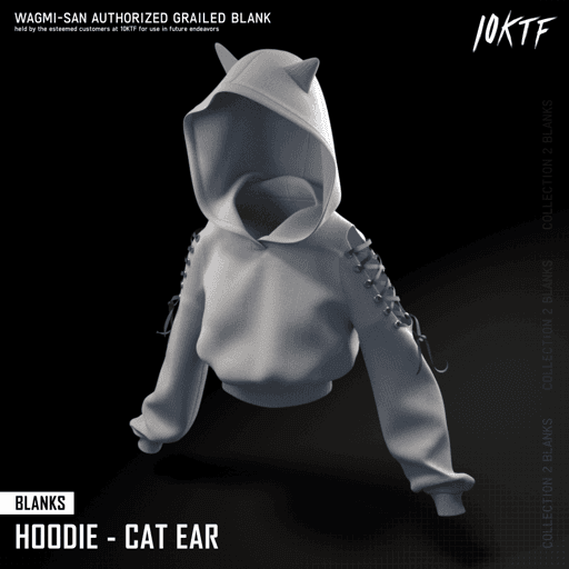 Blank Cat Ear Hoodie