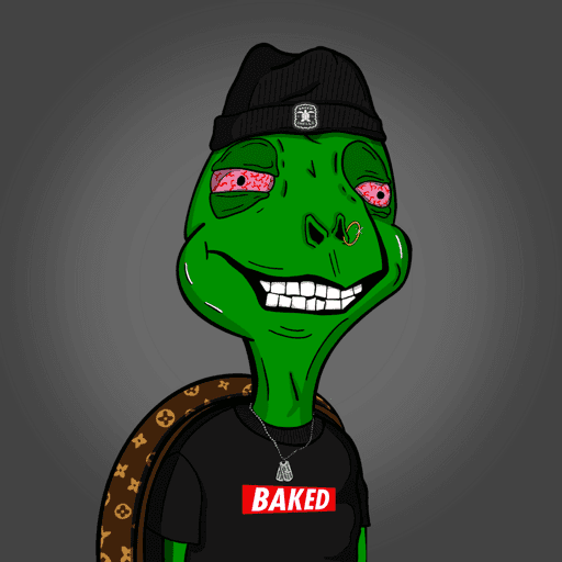 Baked Shellz #241