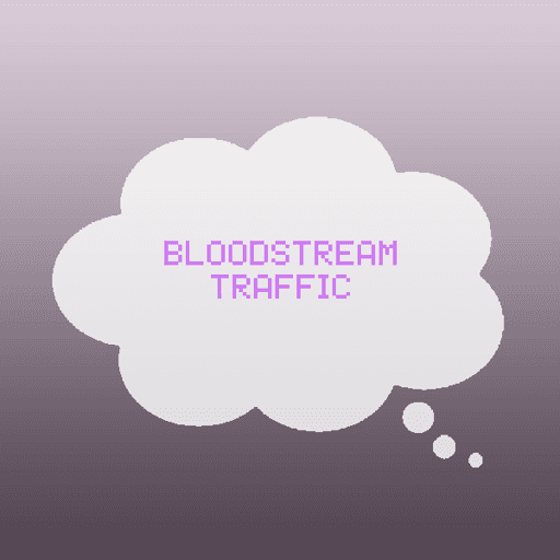 Bloodstream traffic.