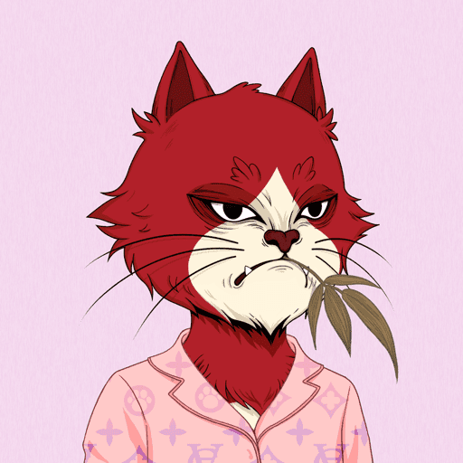 Angry Cat #4272