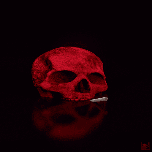 Skull #14