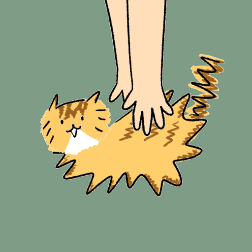 #385 Hashimoto Cat