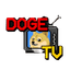 DogeTVHeads