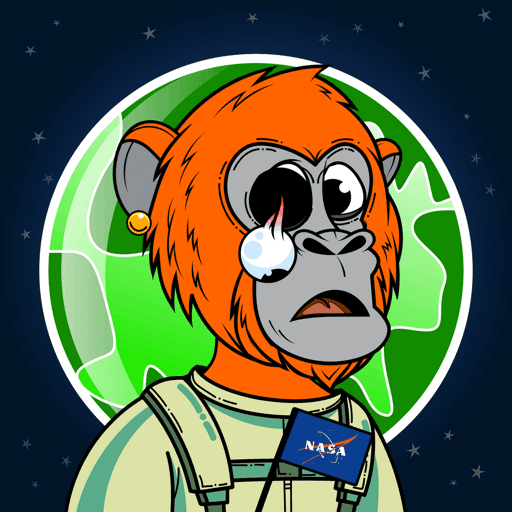 Apes of Space #8563