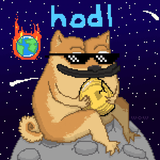 HODL PEPE #003