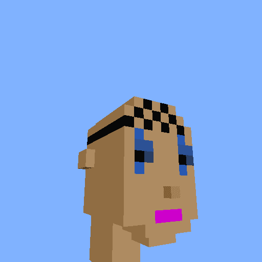 PunkVoxels #6662