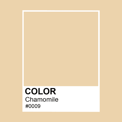 The Colors #0009